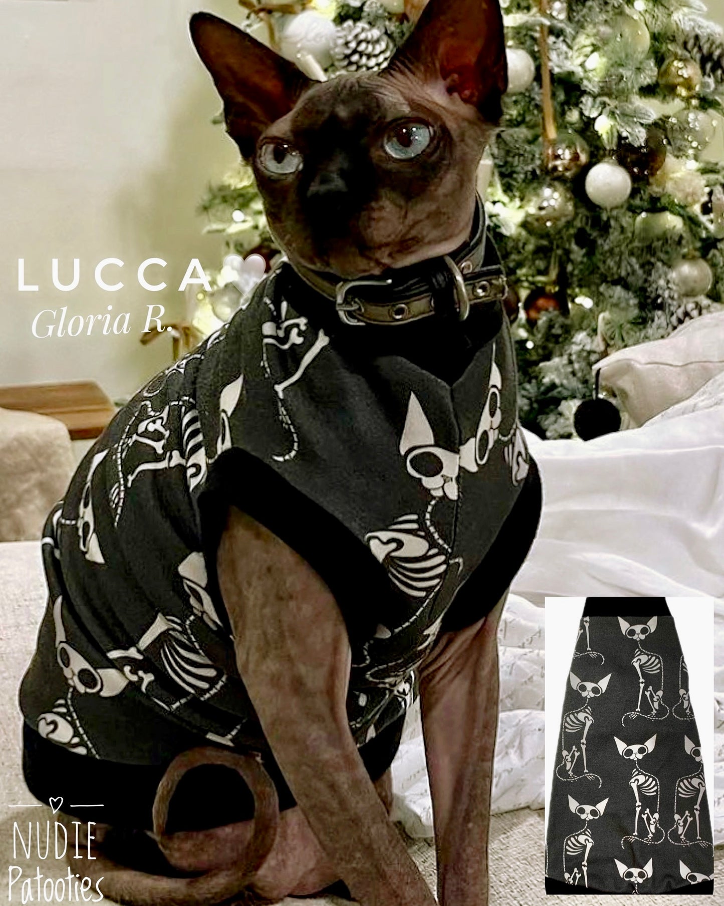 Organic cotton sphynx cat and kitten shirt. Best hairless and sphynx cat clothes, shirts, sweaters and swag