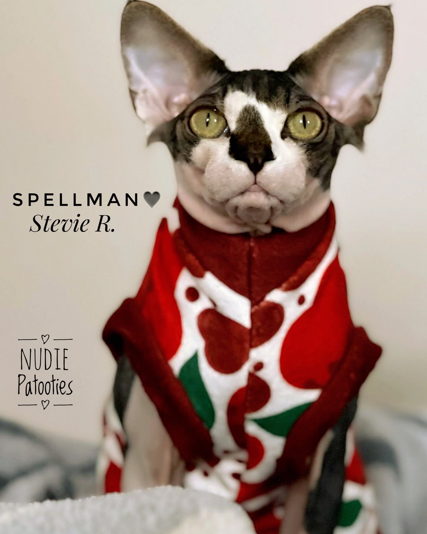 Valentine’s Day sphynx cat and kitten warm shirt. Sphynx cat clothes.