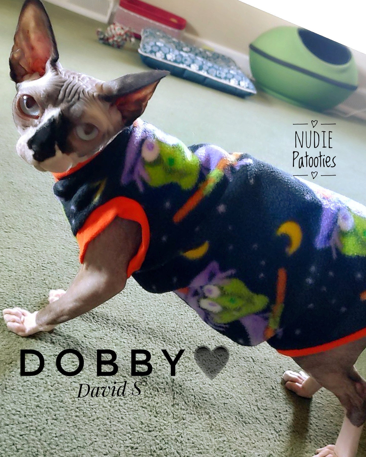 Witches sphynx cat and kitten Halloween Fleece shirt. Sphynx cat clothes. Being Witchy" - Nudie Patooties