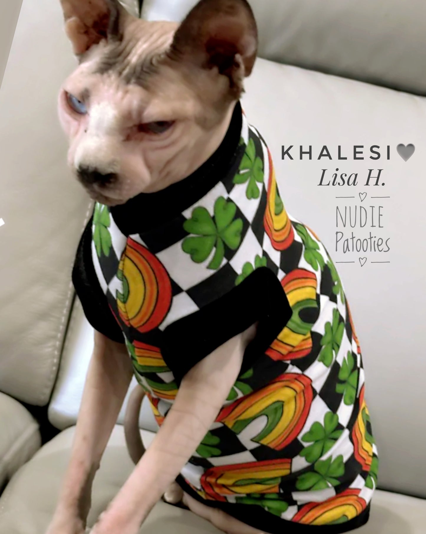 Sphynx cat and kitten cotton knit shamrock & rainbow shirt with velvet trim. Sphynx cat clothes