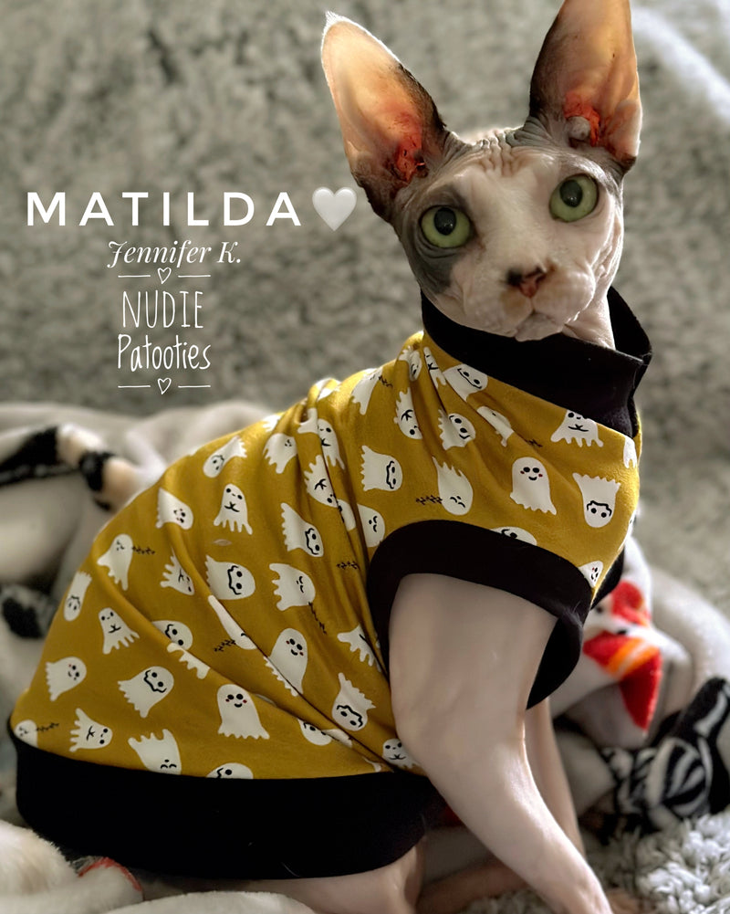 sphynx cat and kitten shirt. sphynx cat clothes