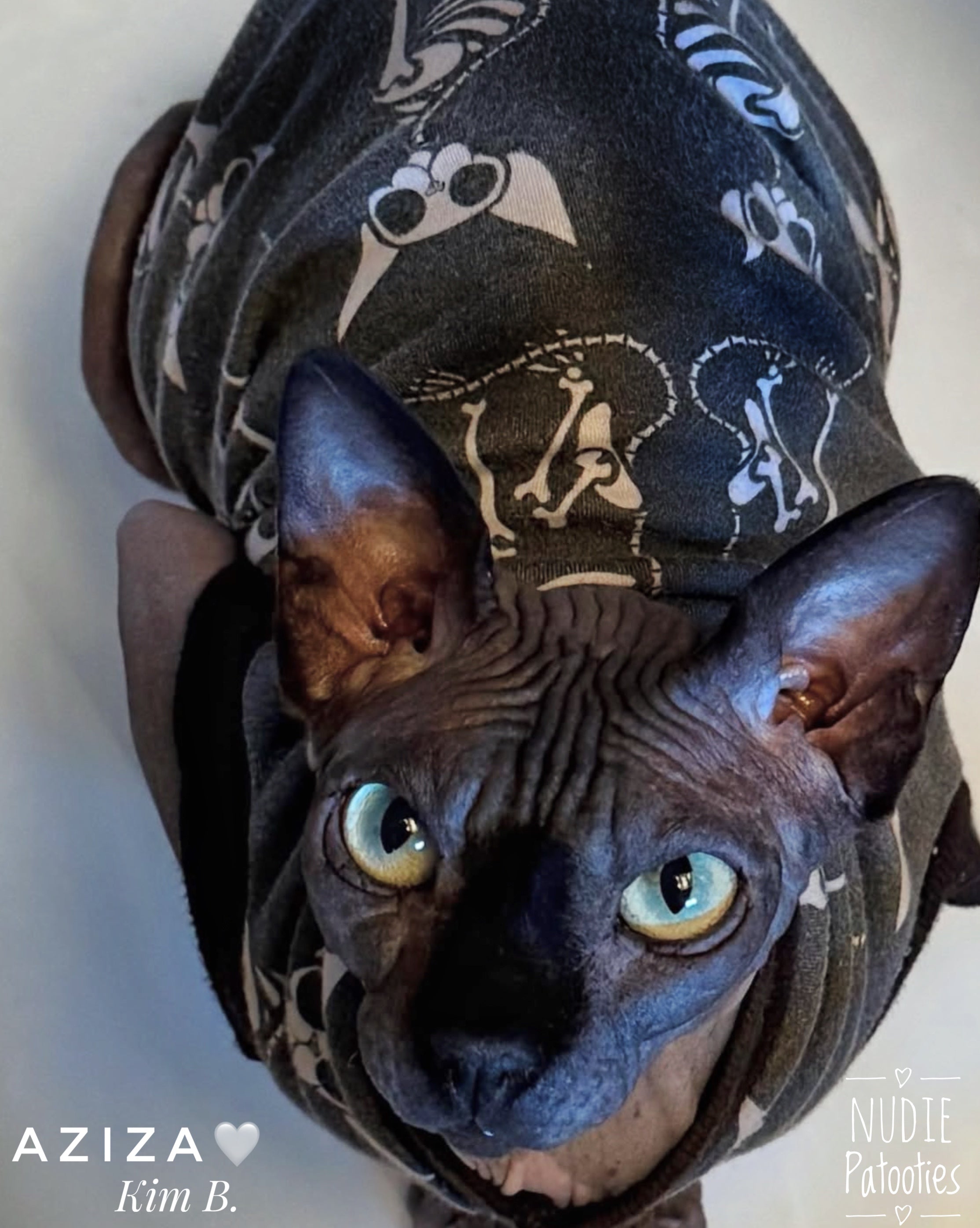 Organic cotton sphynx cat and kitten shirt. Best hairless and sphynx cat clothes, shirts, sweaters and swag