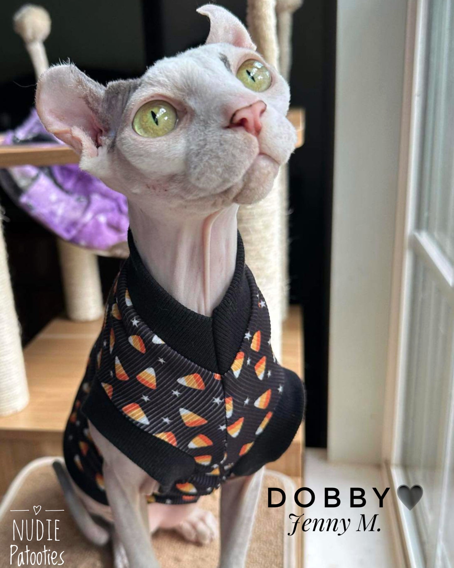 Best Sphynx cat clothing. Hairless cat apparel. Sphynx cat sweaters. Cat clothes for hairless cats. Warm sphynx cat outfits. Sphynx cat hoodies. Cozy cat wear. Cat shirts for Sphynx. Pet clothing for Sphynx cats. Winter clothes for sphynx cats. Sphynx cat fashion. Hairless cat t-shirts. Soft cat jumpers. Seasonal cat clothing.