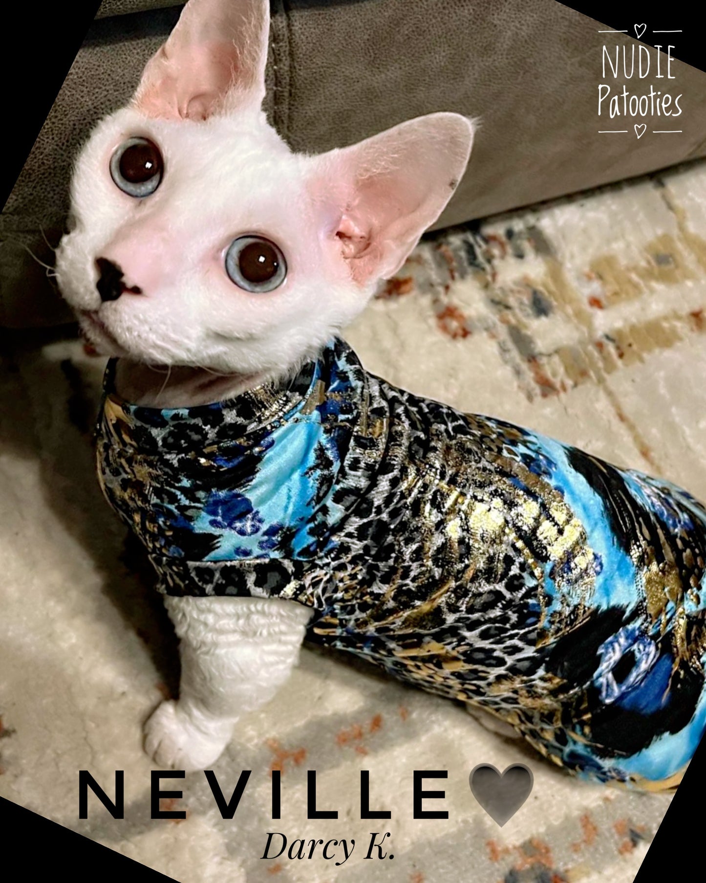 Sphynx cat and kitten shirt. Sphynx cat clothes.