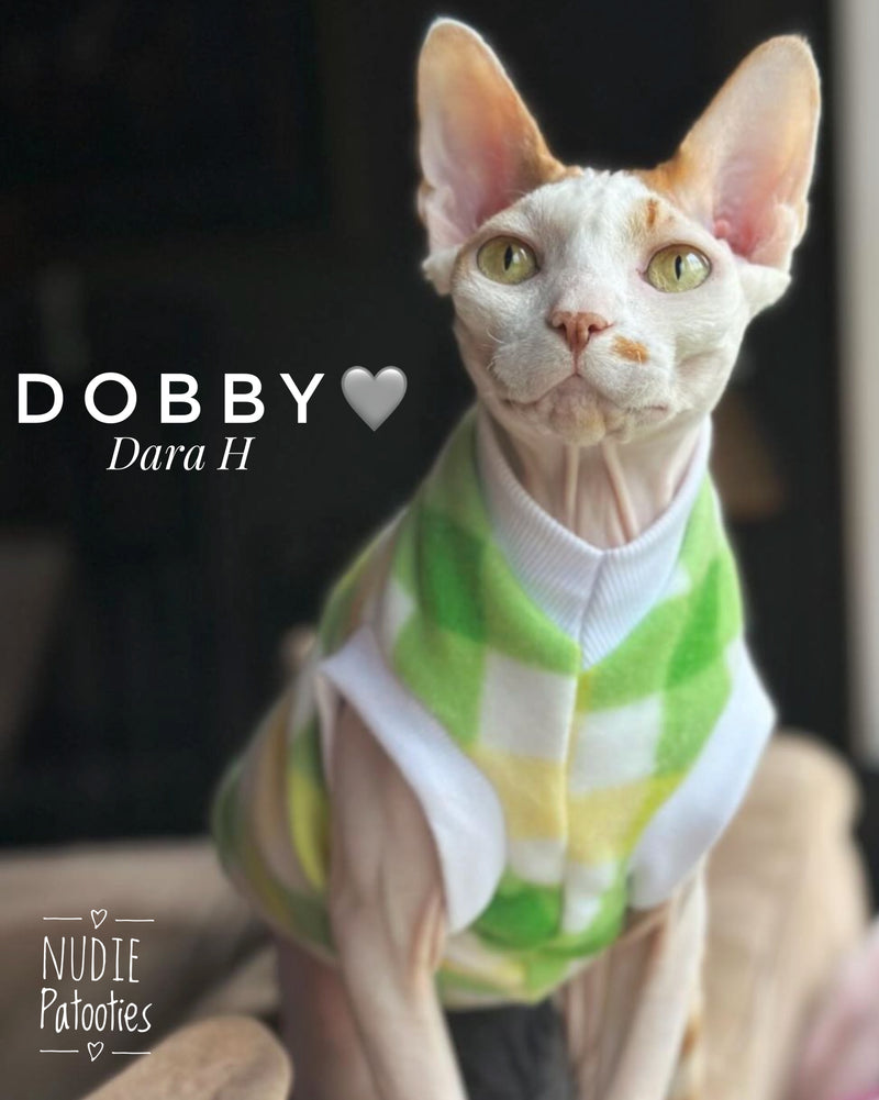 Sphynx cat and kitten soft and warm fleece shirt. Sphynx cat clothes. Best Sphynx cat clothing. Hairless cat apparel. Sphynx cat sweaters. Cat clothes for hairless cats. Warm sphynx cat outfits. Sphynx cat hoodies. Cozy cat wear. Cat shirts for Sphynx. Pet clothing for Sphynx cats. Winter clothes for sphynx cats. Sphynx cat fashion. Hairless cat t-shirts. Soft cat jumpers. Seasonal cat clothing.