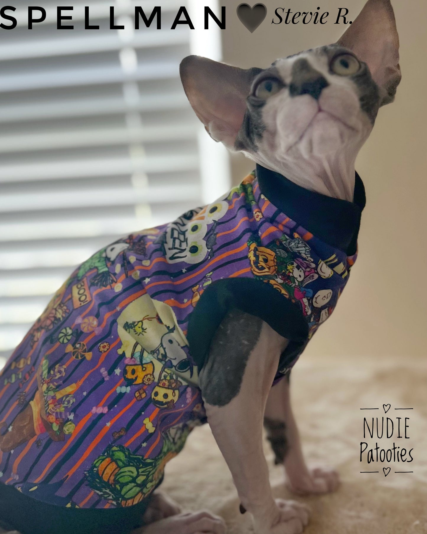 sphynx cat and kitten shirt. sphynx cat clothes