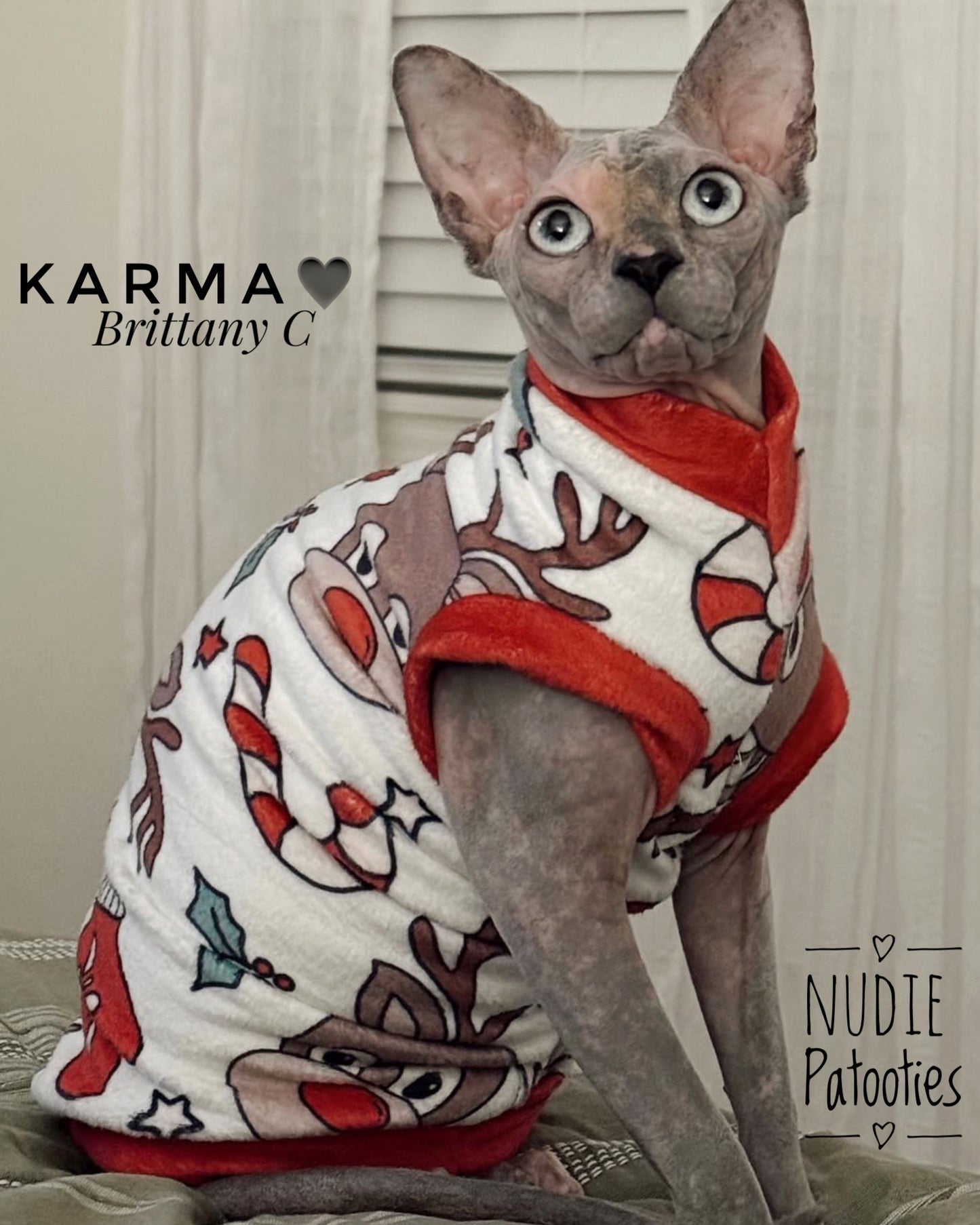 Best sphynx cat clothes. Sphynx cat and kitten shirts, sweaters, Christmas