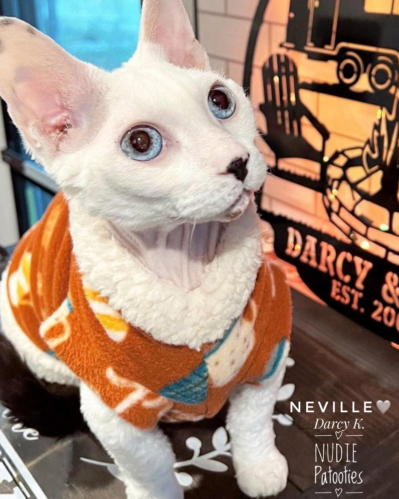 sphynx cat and kitten shirts. sphynx cat clothes