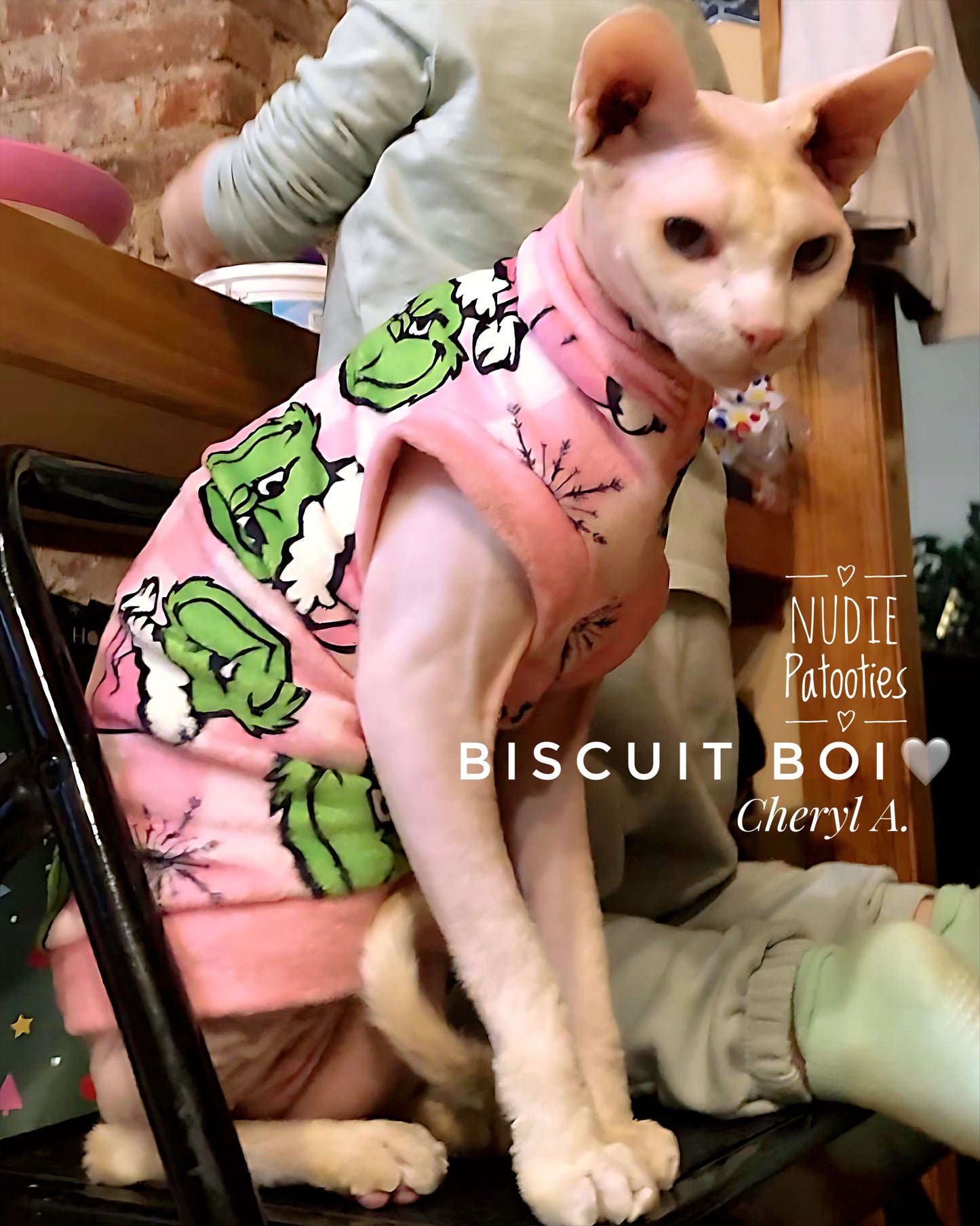 Sphynx cat and kitten fleece sweater shirt. Sphynx cat clothes.