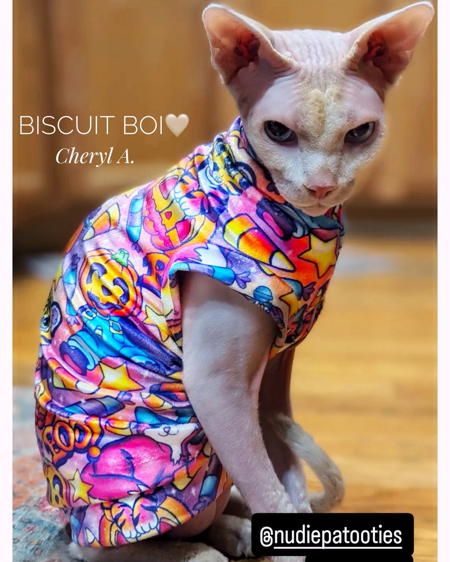 Purrfect Treat! Plush