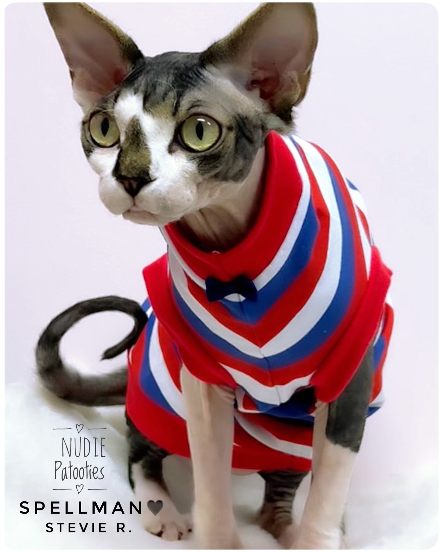 Patriotic 4th of July striped sphynx cat and kitten shirt. Sphynx cat clothes