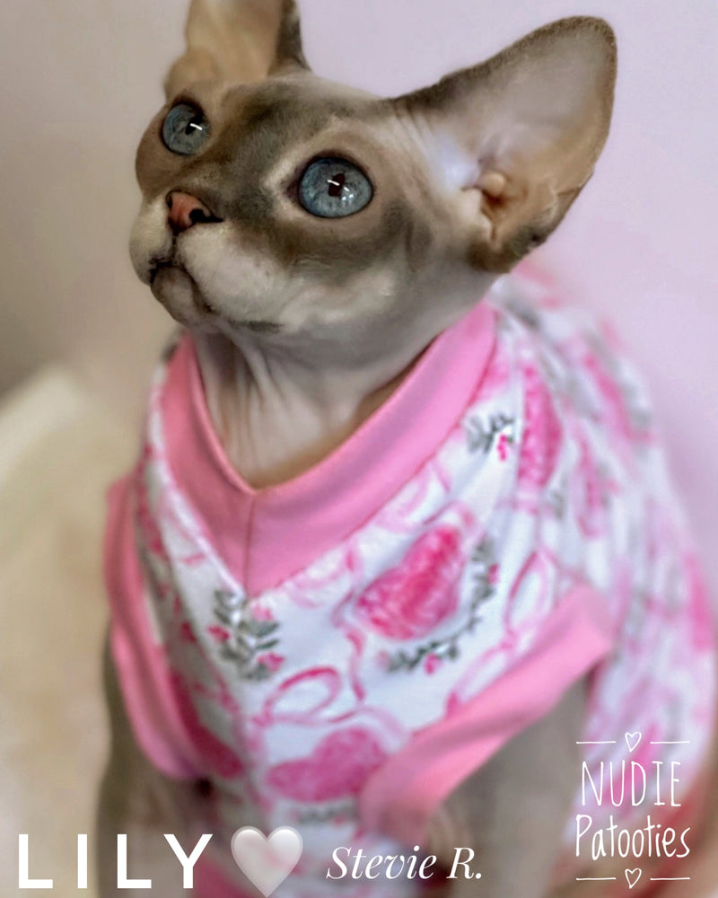 Coquette minky sphynx cat and kitten shirt. Best sphynx cat clothes, and sweaters for hairless cats.