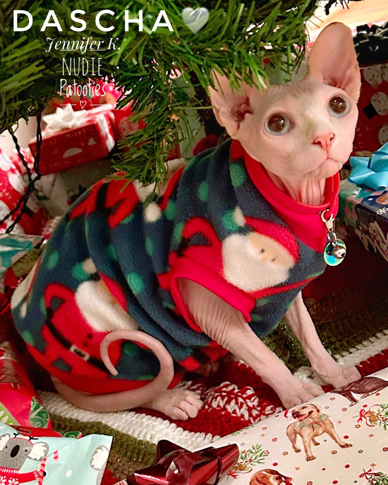 Santa on Fleece “Santy Claws”