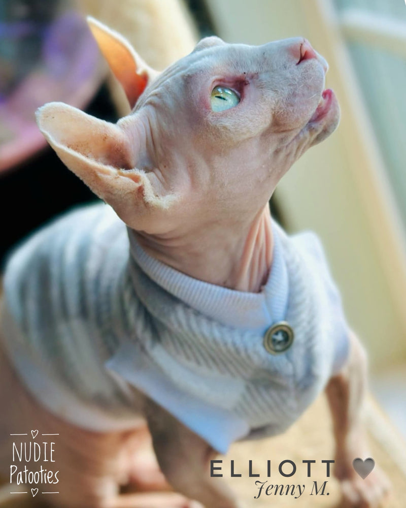 Sphynx cat and kitten shirt. Sphynx cat clothes.