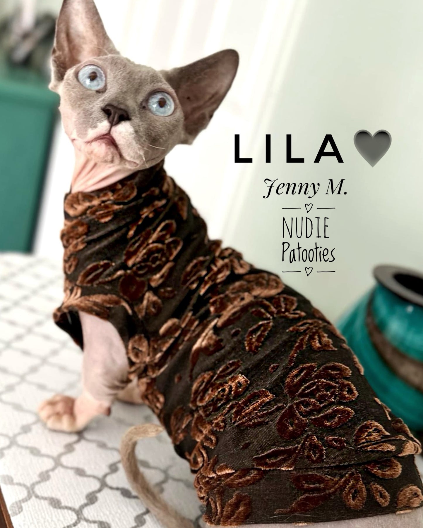 Sphynx cat and kitten shirt. Sphynx cat clothes.