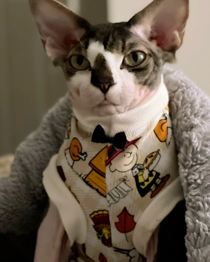 "Thankful" w/Rib Knit & Bow Tie