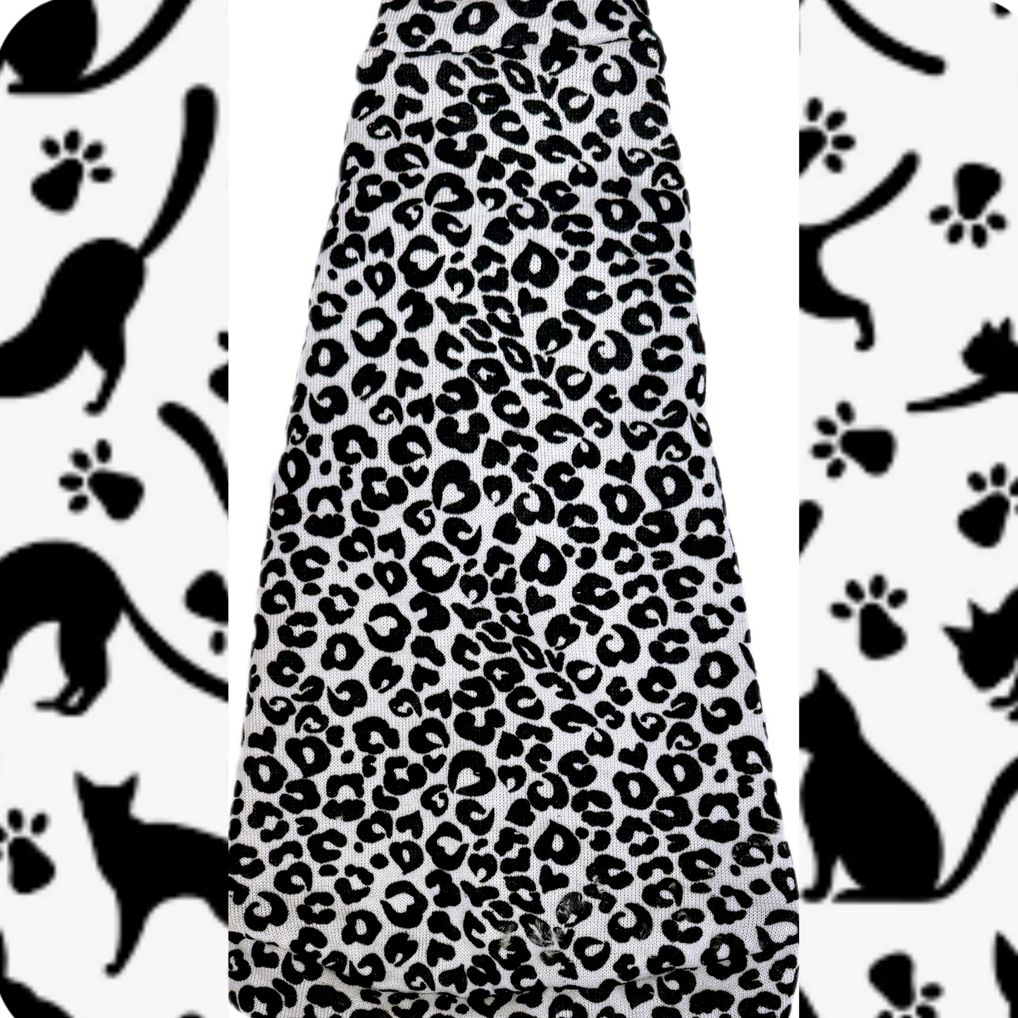 Sphynx cat and kitten clothe, shirts and swag.