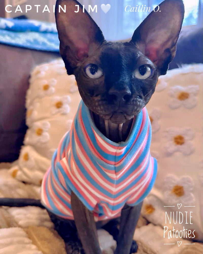 Best sphynx cat clothes, shirts, and swag. Trans flag shirt