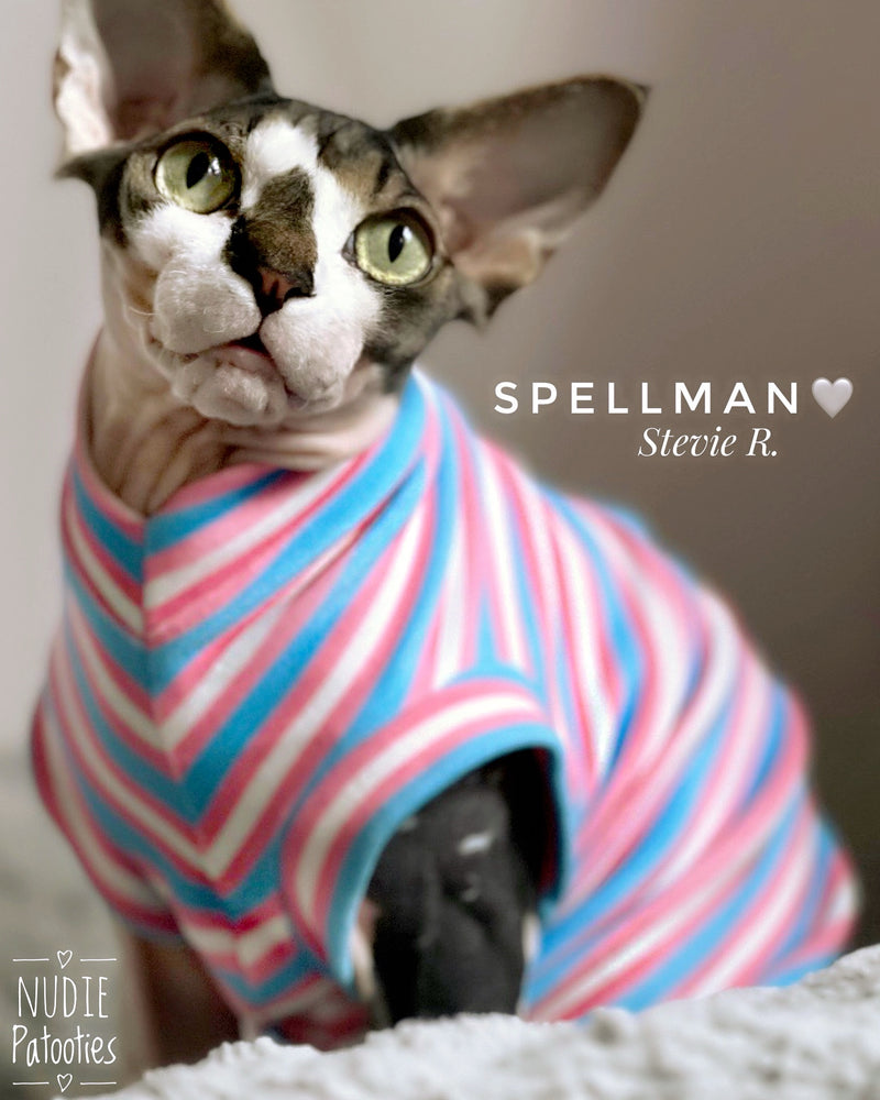 Best sphynx cat clothes, shirts, and swag. Trans flag shirt