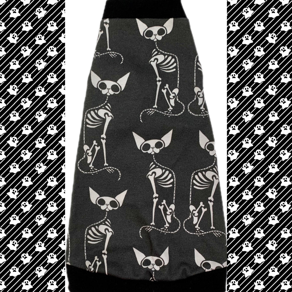 sphynx cat and kitten shirt. sphynx cat clothes