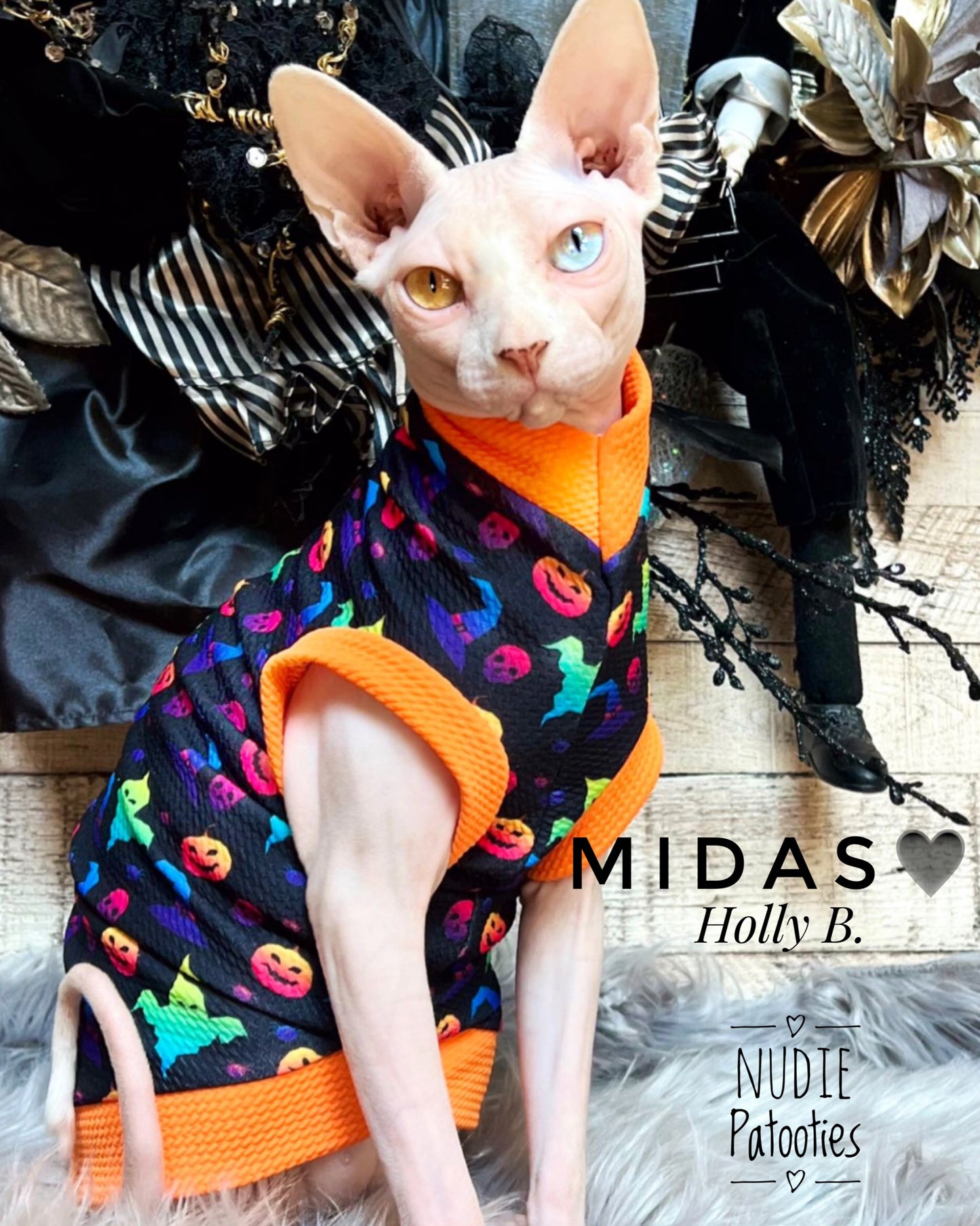 halloween sphynx cat and kitten shirt. sphynx cat clothes