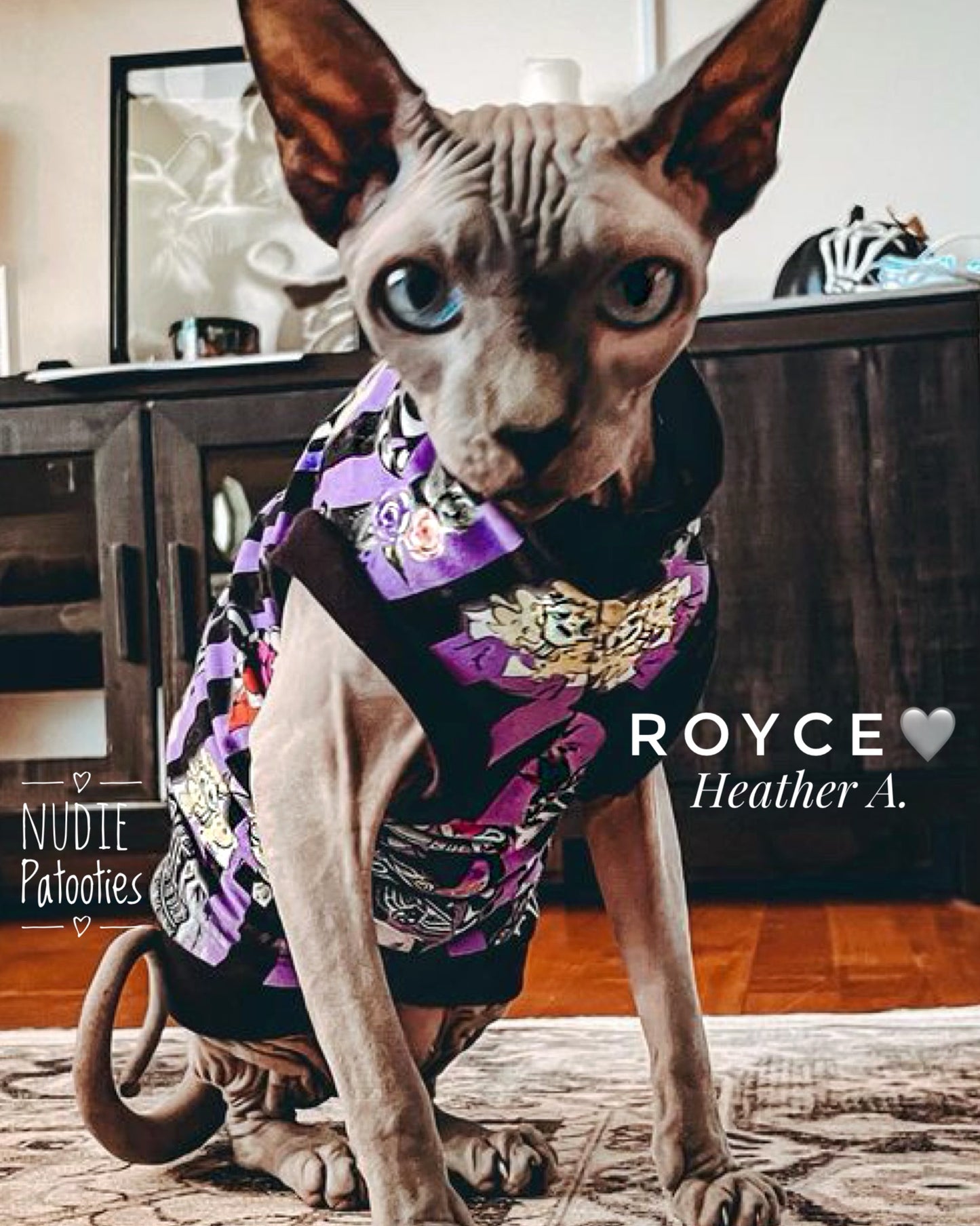 sphynx cat and kitten shirt. sphynx cat clothes