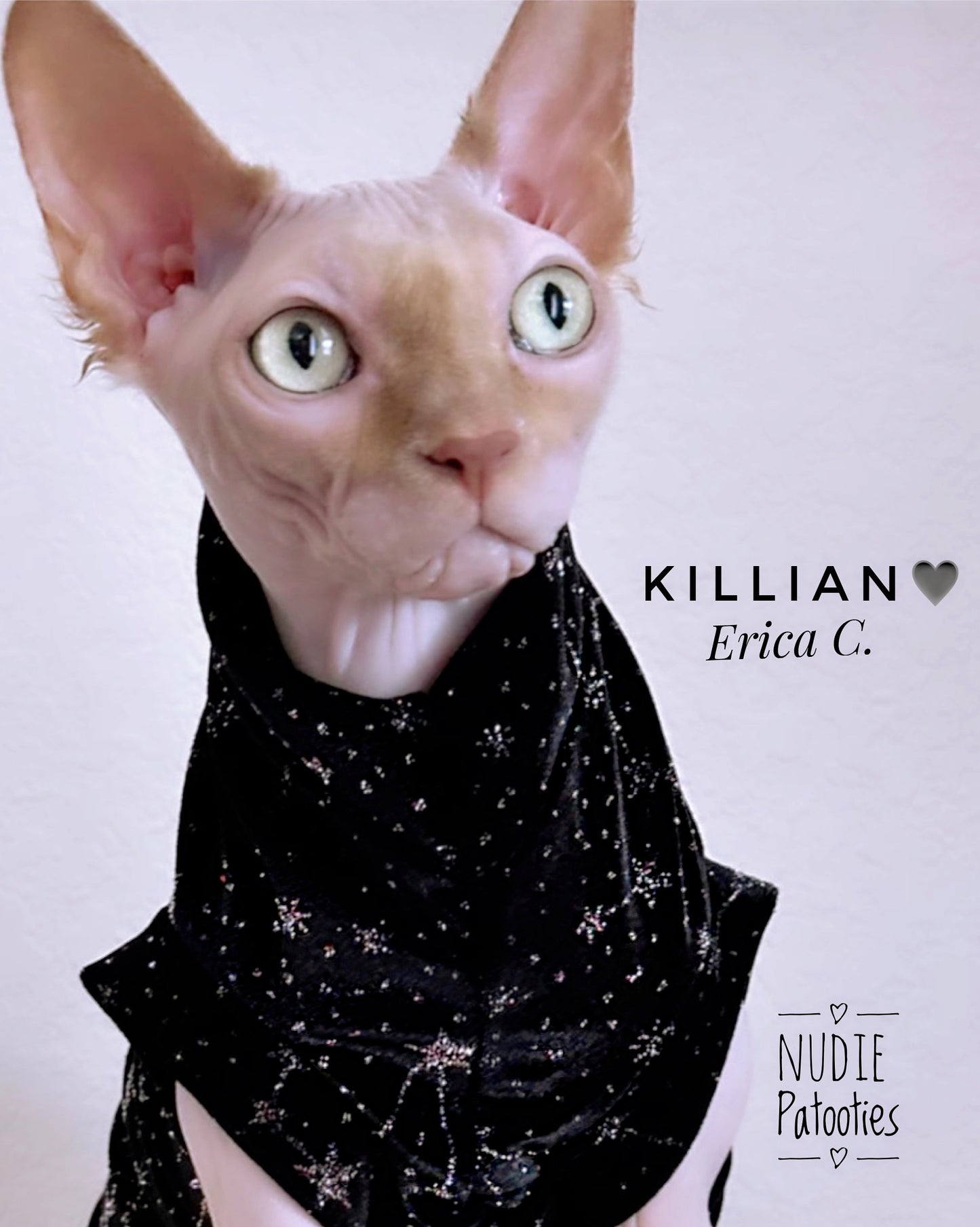 Glitter Velvet Celestial Stars "Showstopper"