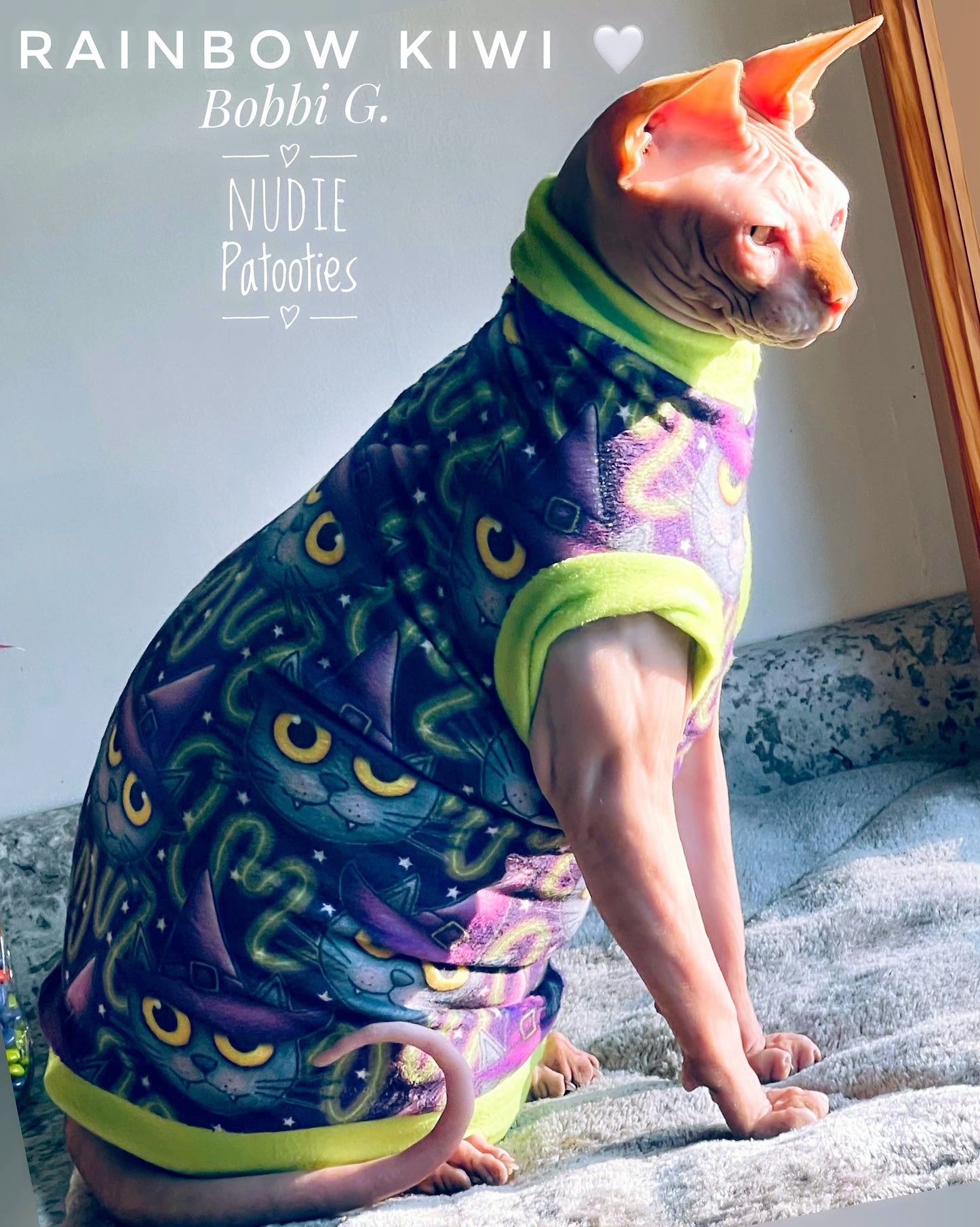 Nuggle Bug, Cat Witches