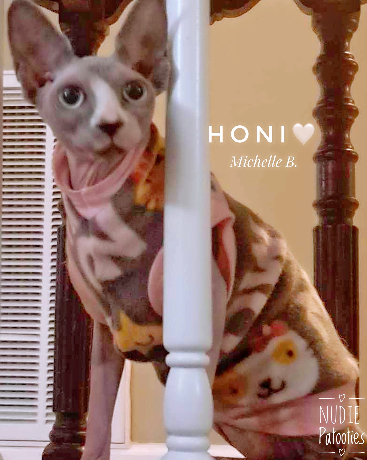 sphynx cat and kitten shirt. sphynx cat clothes