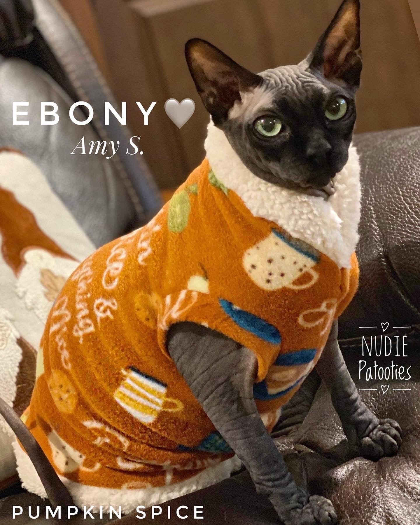 Pumpkin Spice sphynx cat and kitten fleece shirt. sphynx cat clothes