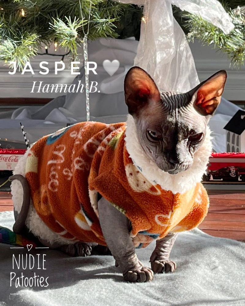 Pumpkin Spice sphynx cat and kitten fleece shirt. sphynx cat clothes