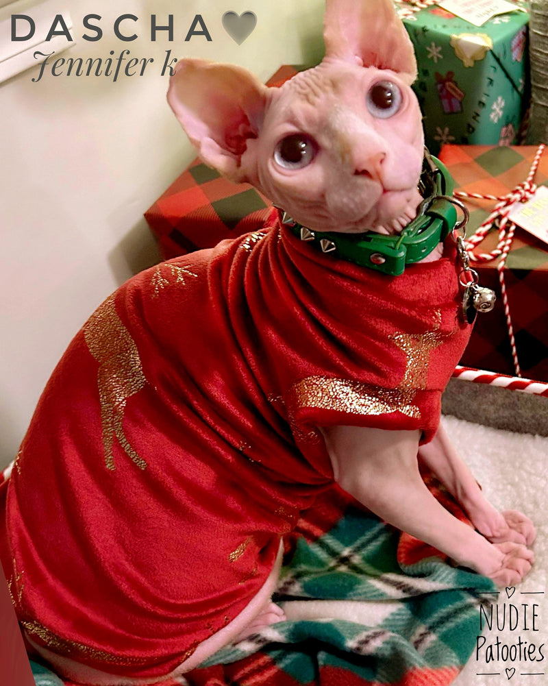 Sphynx cat and kitten fleece shirt. Sphynx cat clothes.
