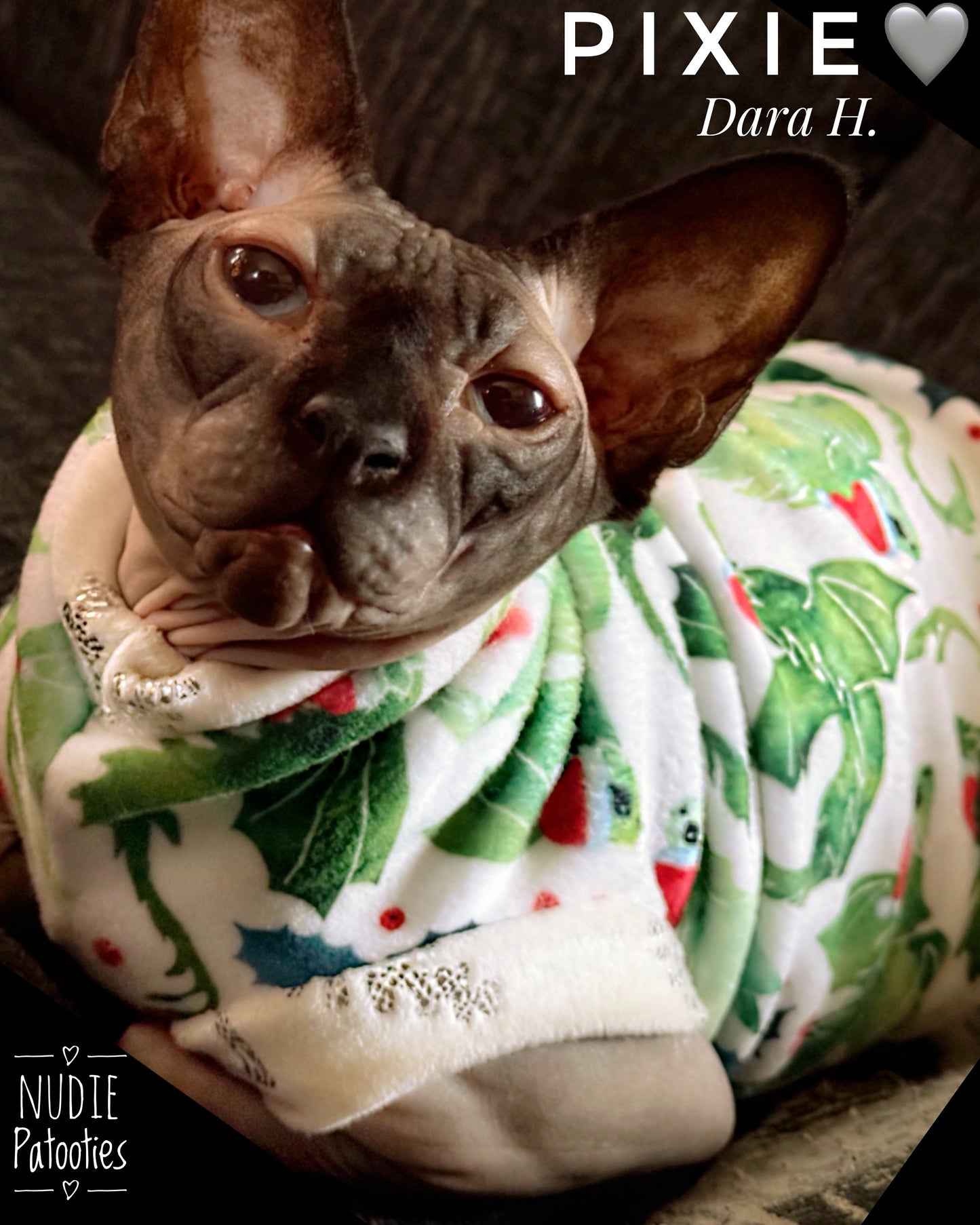 Santa dragon sphynx cat Christmas sweater. Best sphynx cat clothes, shirts and swag