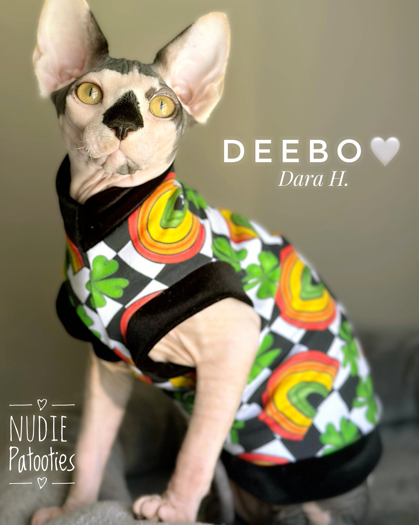 Sphynx cat and kitten cotton knit shamrock & rainbow shirt with velvet trim. Sphynx cat clothes