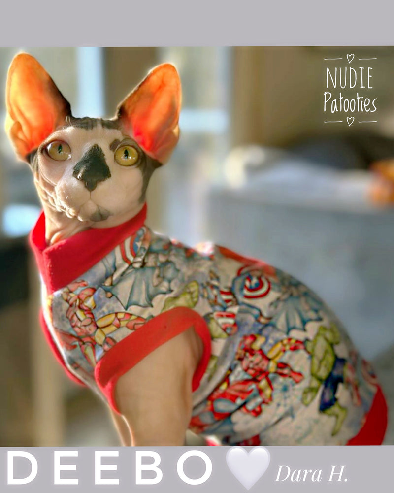 Sphynx cat shirt. Sphynx cat clothes
