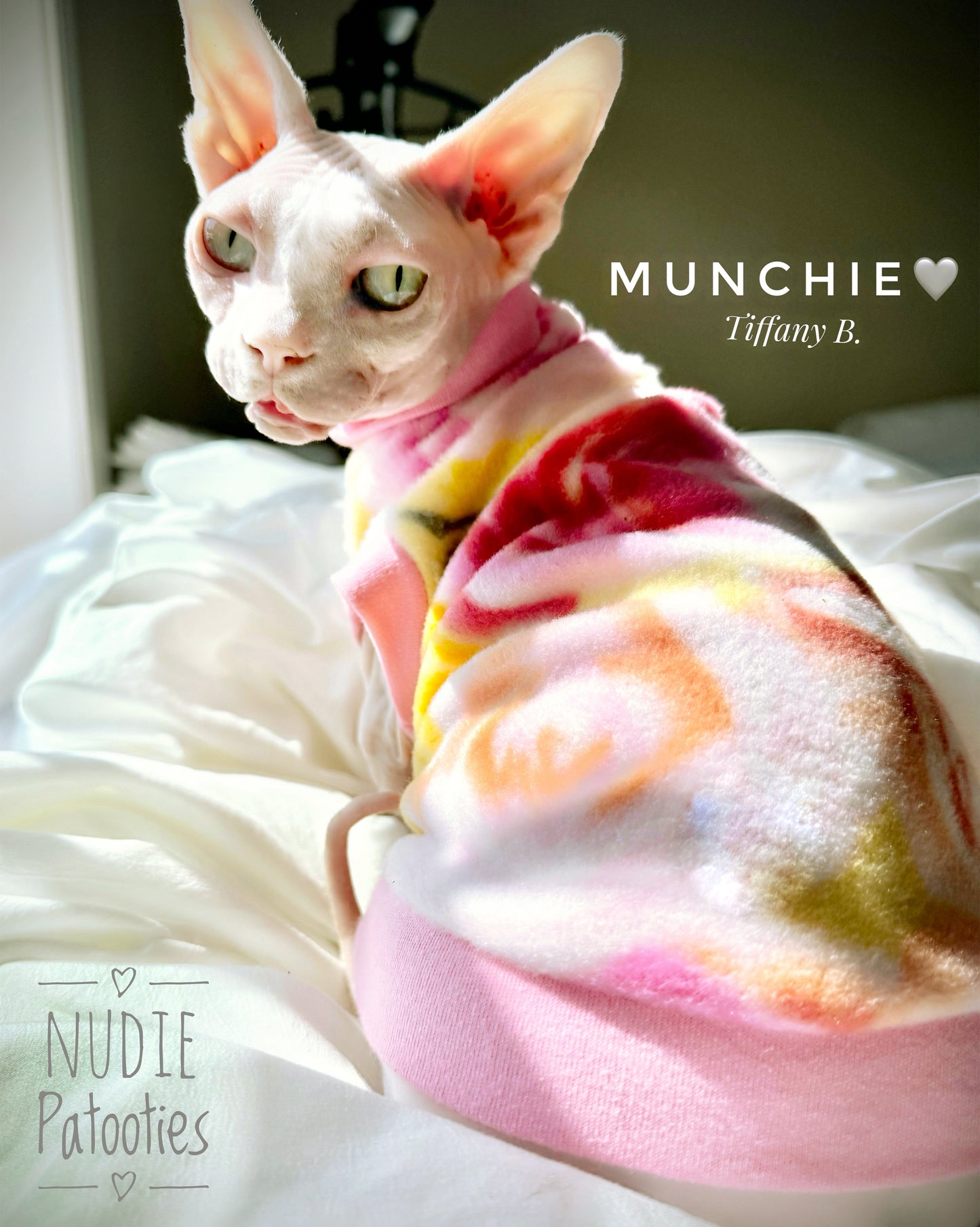 Sphynx cat and kitten shirt. Sphynx cat clothes