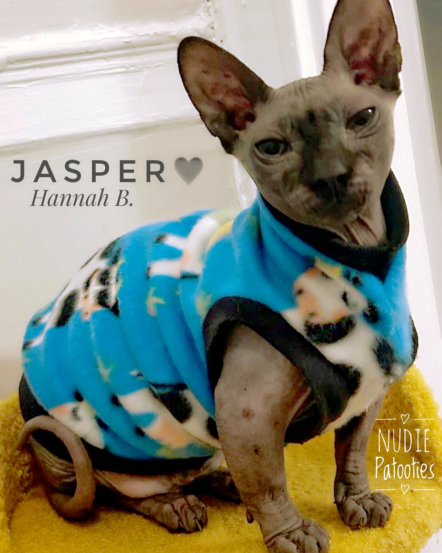 Sphynx cat and kitten warm fleece shirt. Sphynx cat clothes.