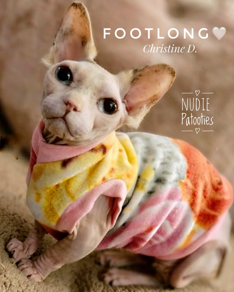 Sphynx cat and kitten shirt. Sphynx cat clothes