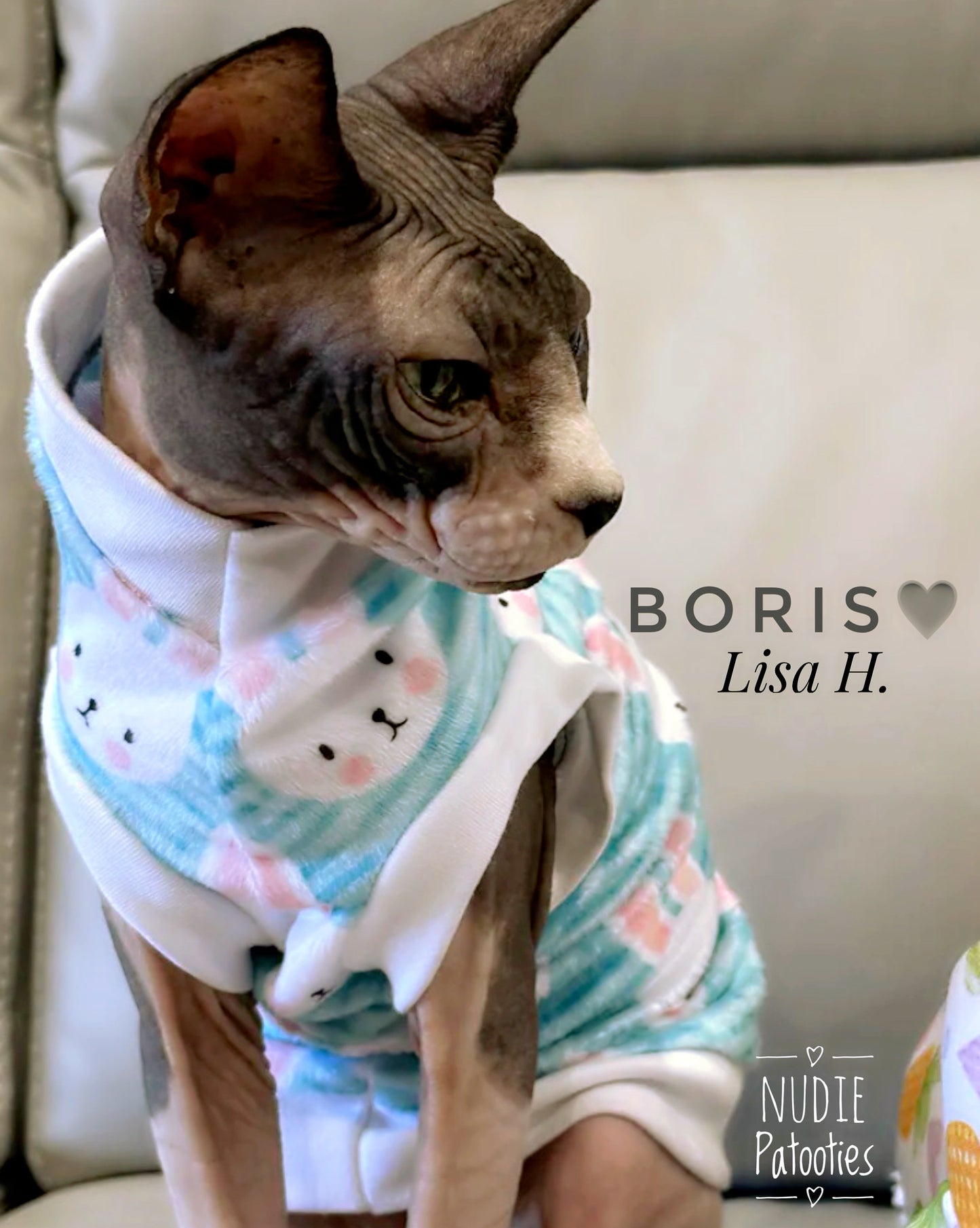 Sphynx cat Easter blue minky shirt with stripes and bunnies. Sphynx cat clothes