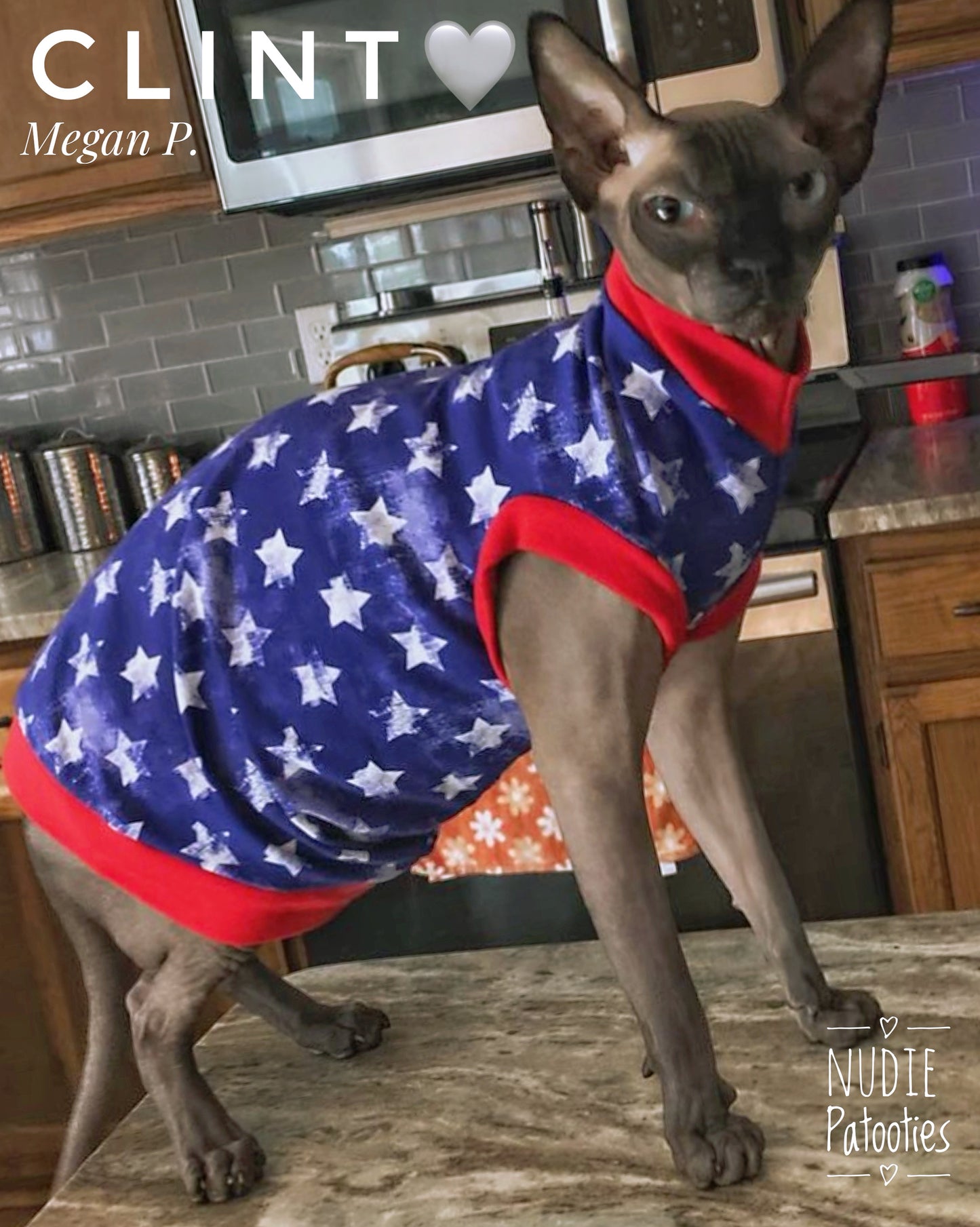 Distress stars 4th of July sphynx shirt. Sphynx cat clothes