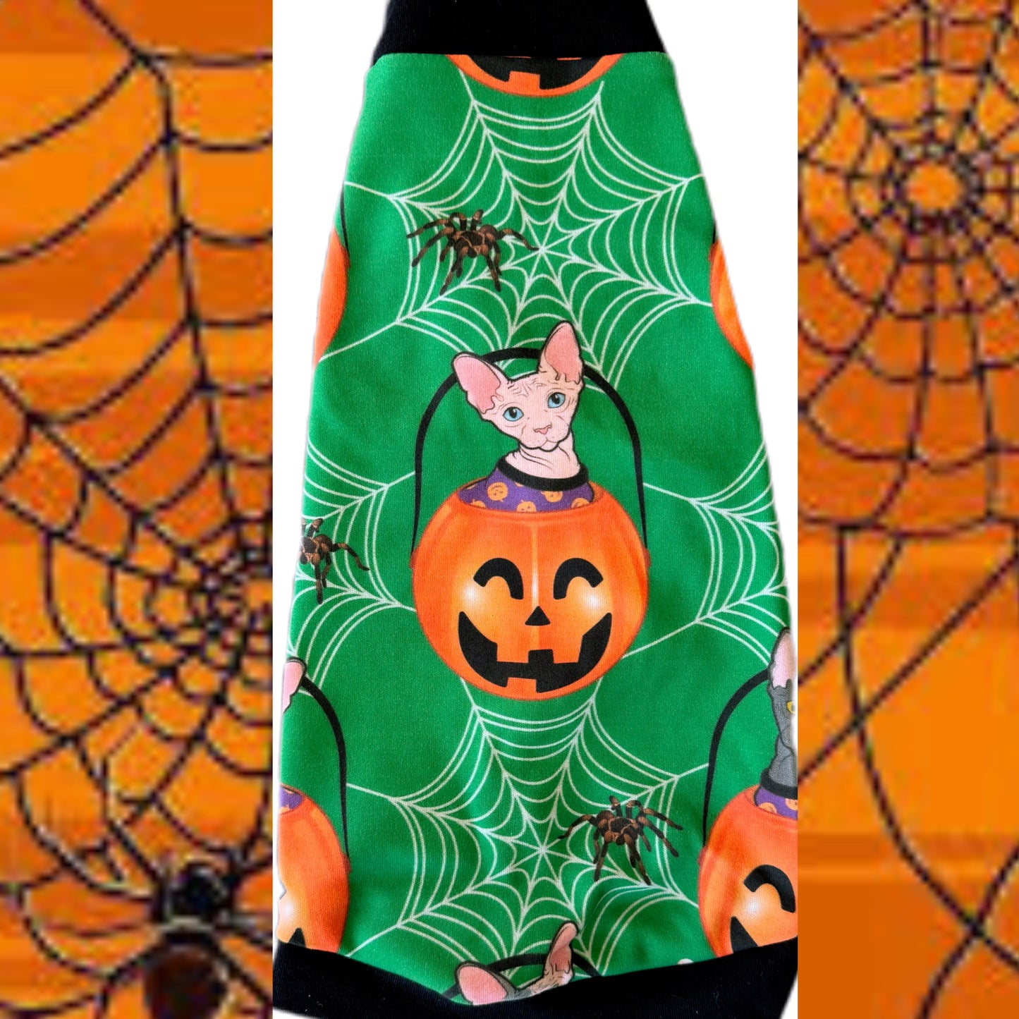 Organic 100% Cotton sphynx cat and kitten Halloween shirt. Sphynx cat clothes.
