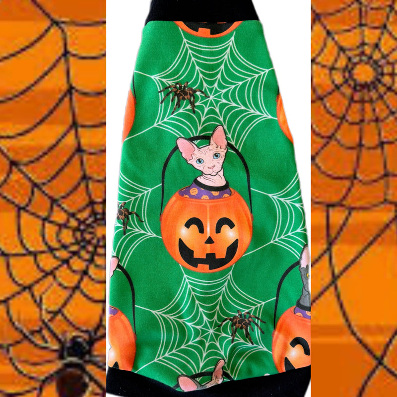 Organic 100% Cotton sphynx cat and kitten Halloween shirt. Sphynx cat clothes.