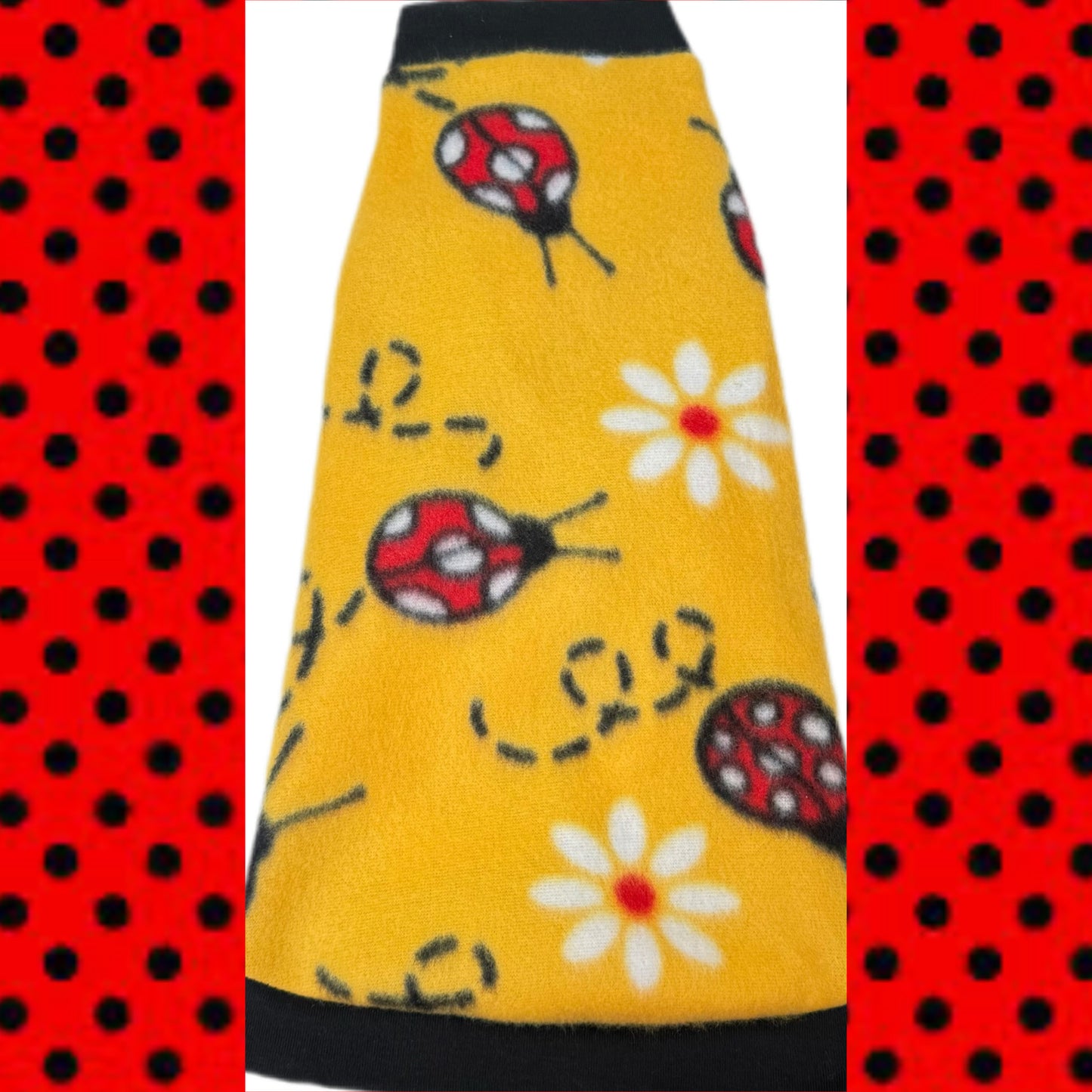 Warm sphynx cat and kitten fleece shirt. Sphynx cat clothes.