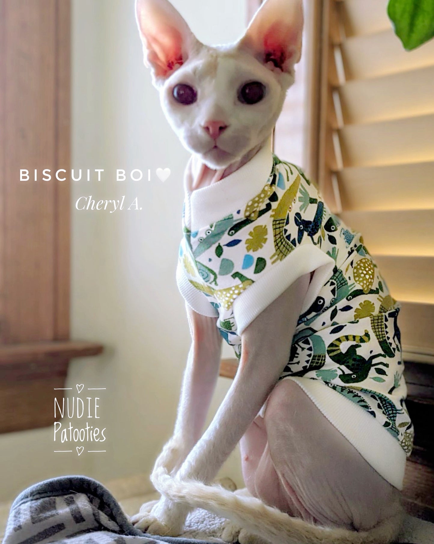 Sphynx cat and kitten shirt. Sphynx cat clothes.