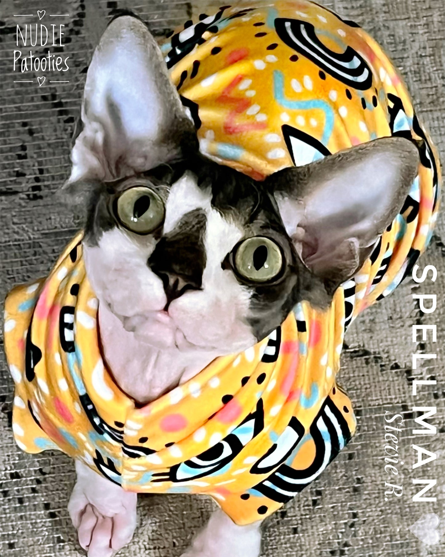 Rainbow velvet sphynx cat shirt. Sphynx cat clothes and clothing.
