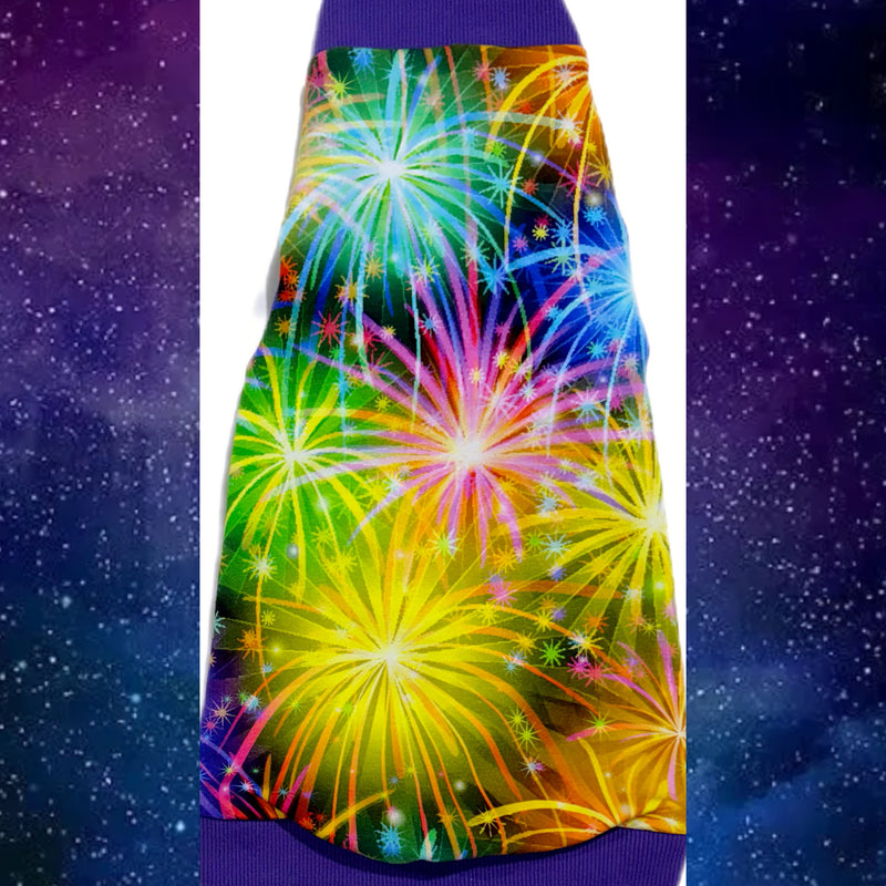 4th of July fireworks Sphynx cat and kitten shirt. Sphynx cat clothes.