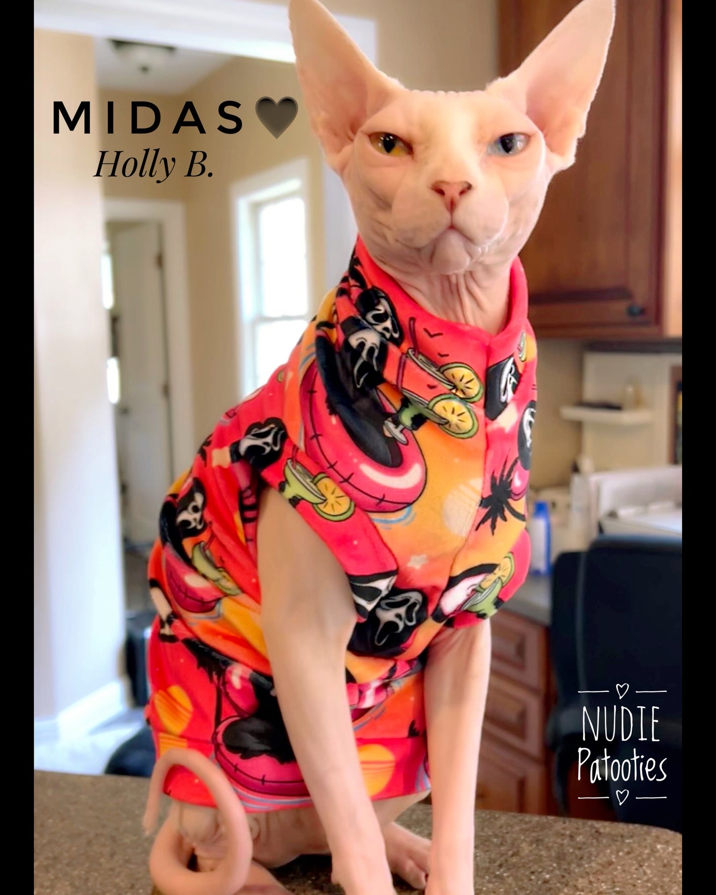 Sphynx cat and kitten bright and plush shirts. Sphynx cat clothes and sweaters.