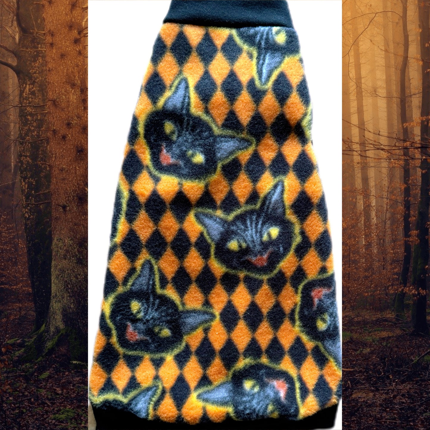 Sphynx cat and kitten warm Halloween fleece shirt. Sphynx cat clothes.