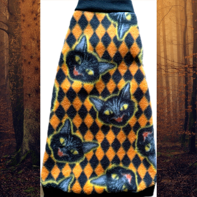 Sphynx cat and kitten warm Halloween fleece shirt. Sphynx cat clothes.