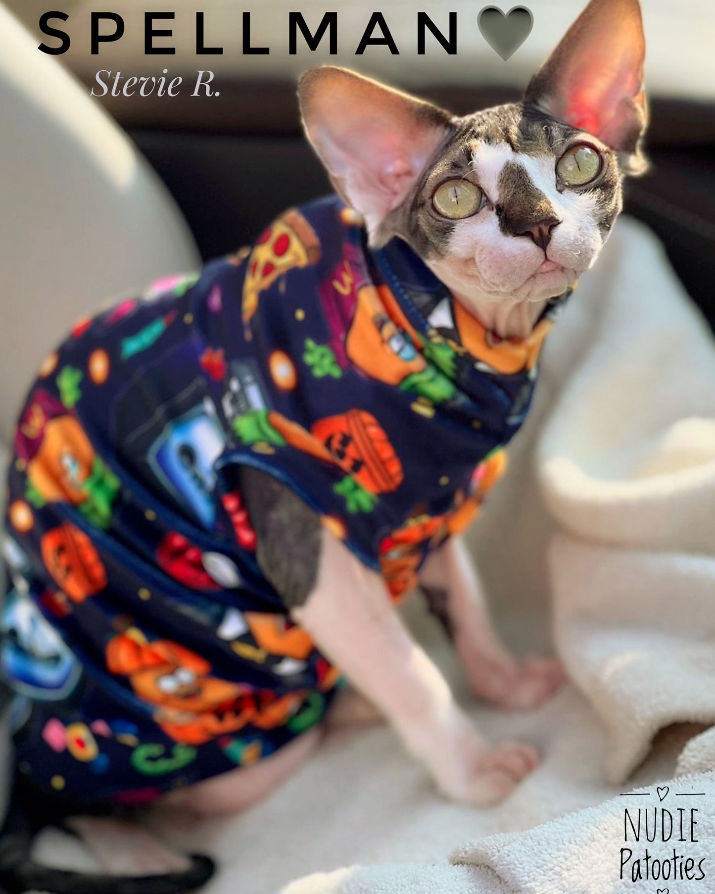 Sphynx cat and kitten warm Halloween shirt. Sphynx cat clothes.